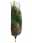 09133102: Sapin de Noël Arbre Sapin de Culture Abies Nordmann 100/150cm 1pc