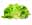09132973: Salades Batavia cagette x6 C1 FR