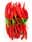 09134177: Red Chili Laos 100g